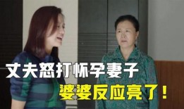 妻子爆料婆婆怀孕视频,家庭纷争背后真相揭秘