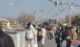 昆明市新闻爆料,突发事件引发关注，详情即将揭晓